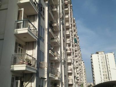 flat for rent in New Delhi